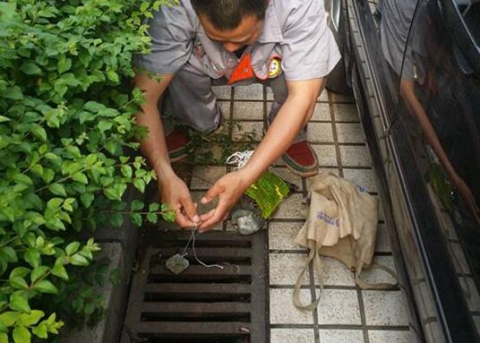 东莞除虫灭鼠案例